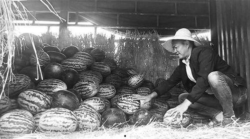 虞山吃瓜群众事件始末,一场网络舆论的风暴与反思