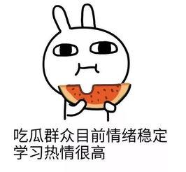 如此淡定的吃瓜群众,看透娱乐圈风云的冷静视角