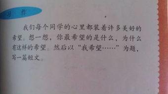 以吃瓜群众为题写作文,网络时代的围观力量与反思