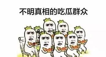 当你是吃瓜群众,当我是吃瓜群众，那些不为人知的幕后故事