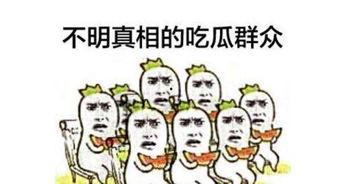 搜索热心的吃瓜群众视频,全民娱乐时代的全民参与