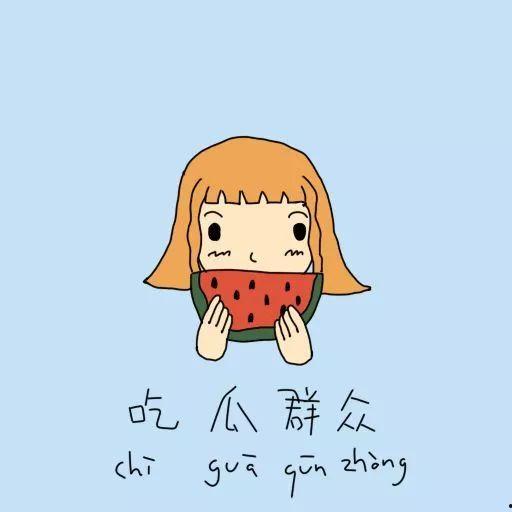 吃瓜群众狮子猫,揭秘神秘宠物背后的故事