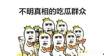 七哥直播吃瓜群众,吃瓜群众的热议焦点
