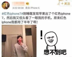 手机前的吃瓜群众,揭秘娱乐圈最新热点事件