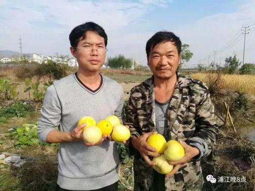 河南鹿邑吃瓜群众是谁,揭秘河南鹿邑“吃瓜群众”现象背后的社会现象